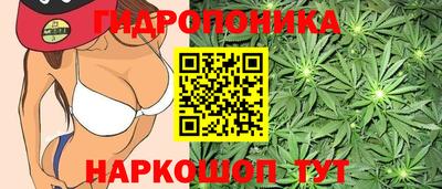 мяу мяу мука Ливны